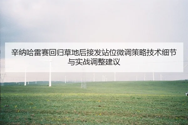 辛纳哈雷赛回归草地后接发站位微调策略技术细节与实战调整建议