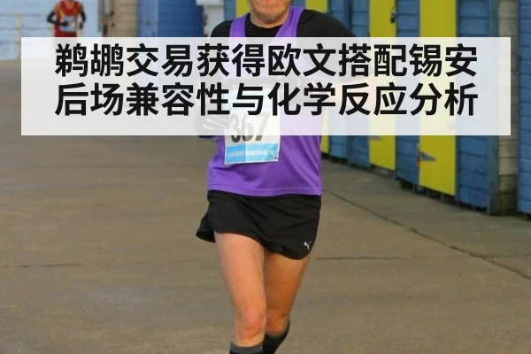 鹈鹕交易获得欧文搭配锡安后场兼容性与化学反应分析